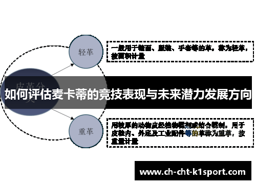 如何评估麦卡蒂的竞技表现与未来潜力发展方向