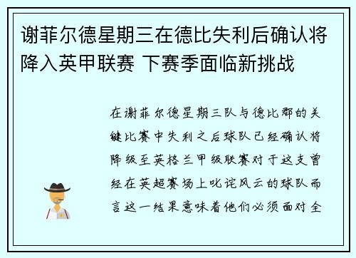 谢菲尔德星期三在德比失利后确认将降入英甲联赛 下赛季面临新挑战