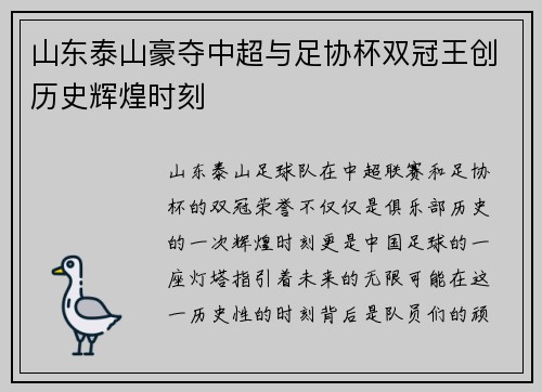 山东泰山豪夺中超与足协杯双冠王创历史辉煌时刻